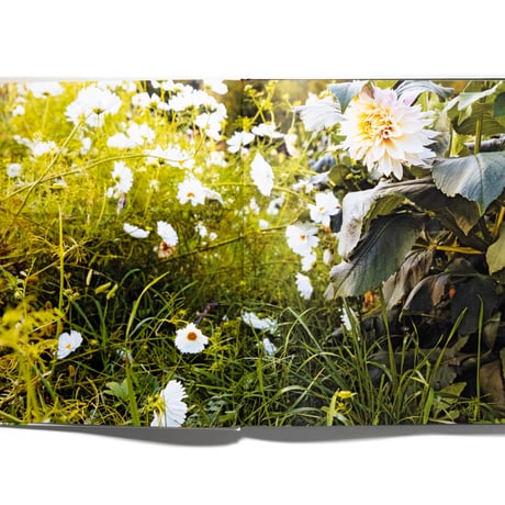In Full Flower: Inspired Designs by Floral's New Creatives