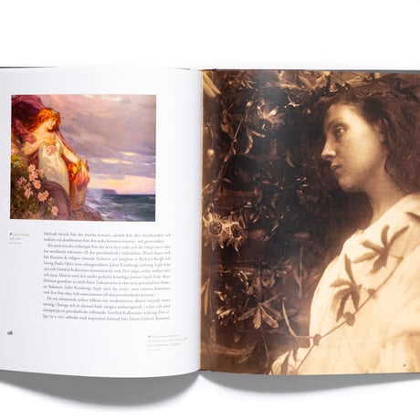 Edward Burne-Jones: The Pre-Raphaelites and the North