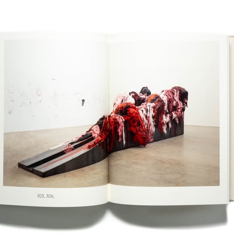 Anish Kapoor: Painting