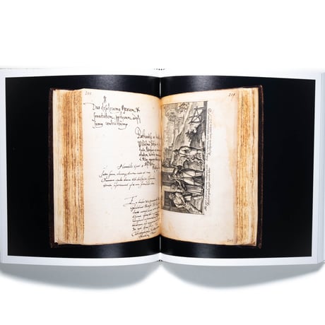 Dutch Art in a Global Age