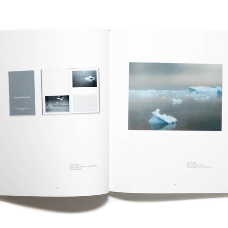 Gerhard Richter : Landscape