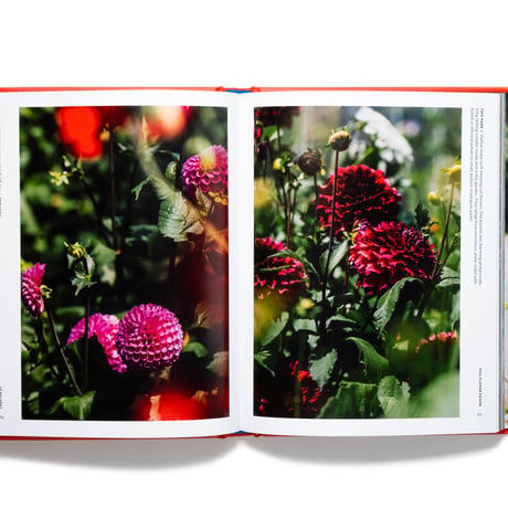 The Super Bloom Handbook