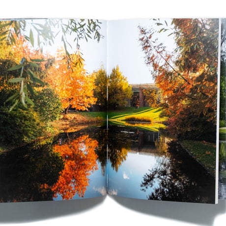 Fondation Beyeler. 25 Highlights