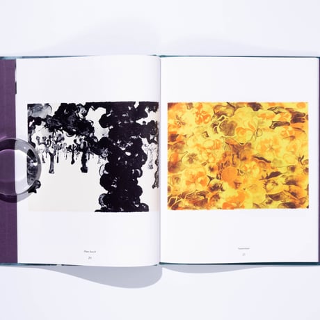 Ruth Asawa: The Tamarind Prints