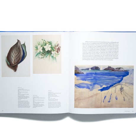 Maine and American Art: The Farnsworth Art Museum