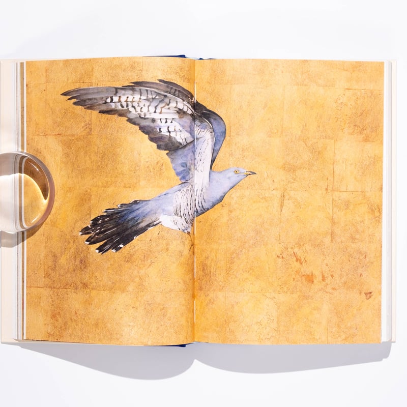 The Book of Birds : A Field Guide to Wonder and