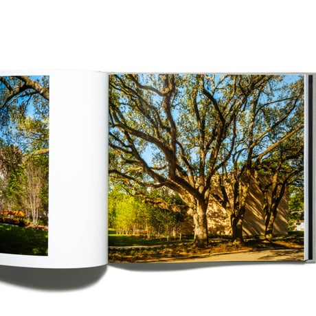 Rothko Chapel: An Oasis for Reflection
