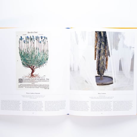 Flower: Exploring the World in Bloom