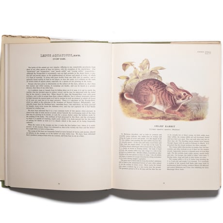 The Imperial Collection of Audubon Animals