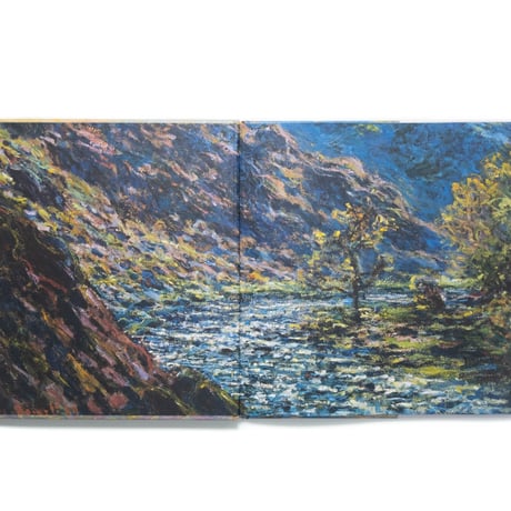 Monet: Paintings at the Museum of Fine Arts Boston Exhibition Catalogue