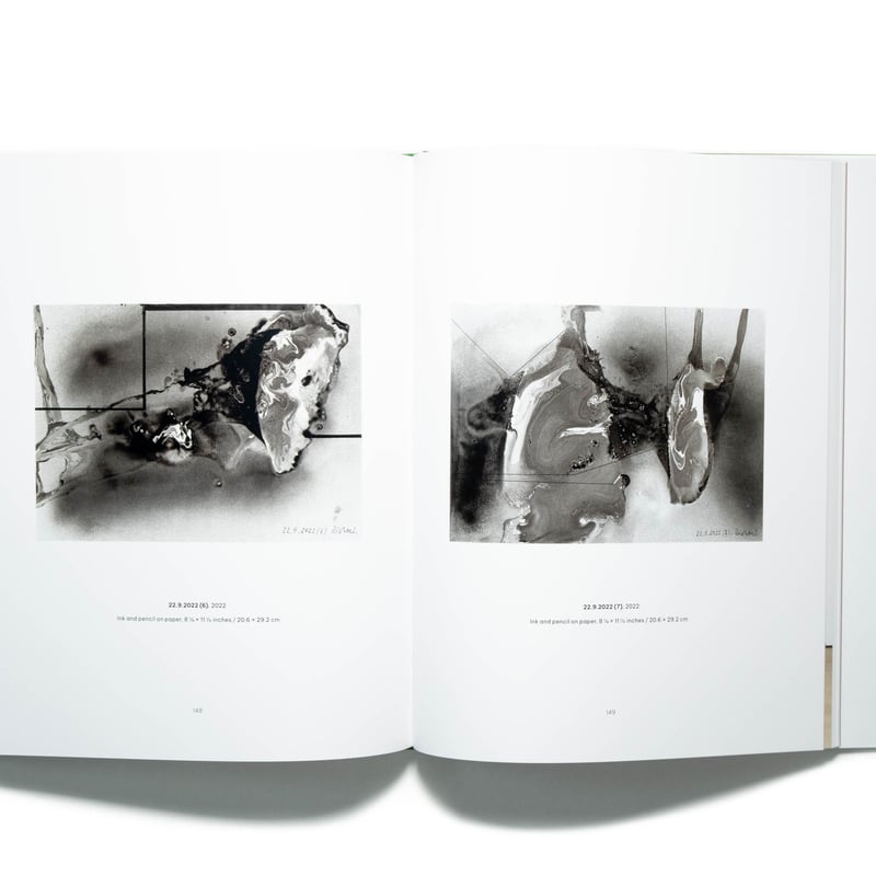 Gerhard Richter 展覧会カタログ ゲルハルト・リヒター（展覧会カタログ） | まつのは書林
