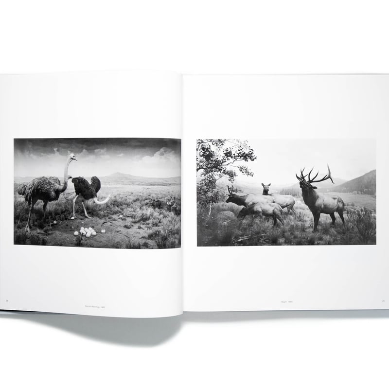 Hiroshi Sugimoto: Time Machine | Art Book Iskus