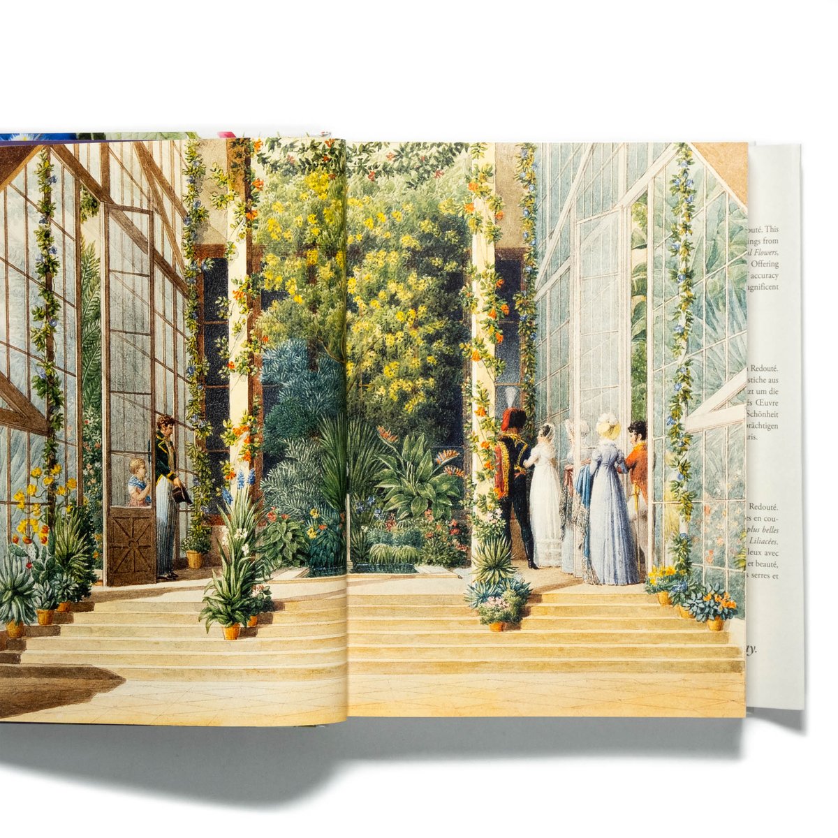 Redouté: The Book of Flowers. 40th Ed. | Art Bo Redouté: The Book of Flowers. 40th Ed. | Art Bo