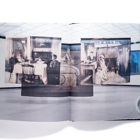 Carrie Mae Weems: A Great Turn in the Possible