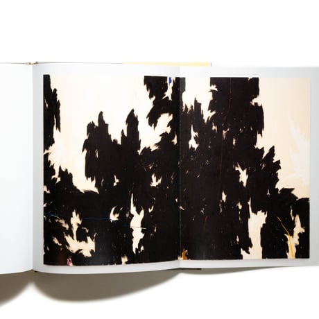 Clyfford Still: The Artist's Museum