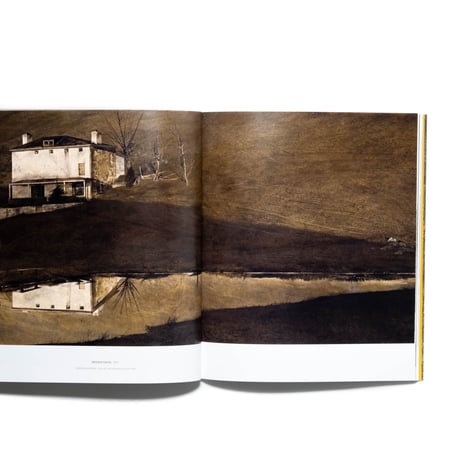 Andrew Wyeth: People and Places