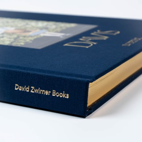 Noah Davis: In Detail