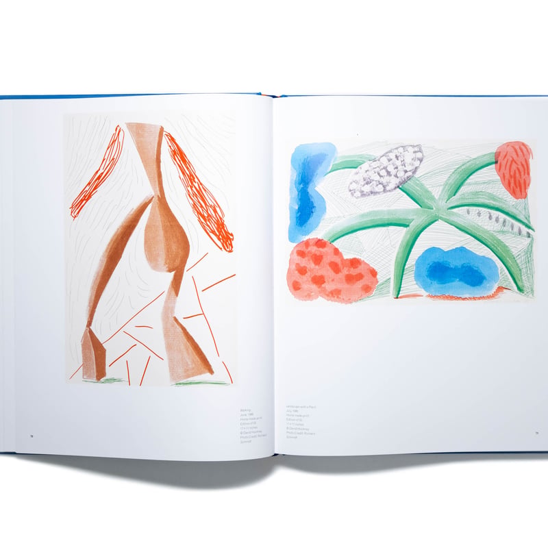 David Hockney: Paper Trails | Art Book Iskusstvo