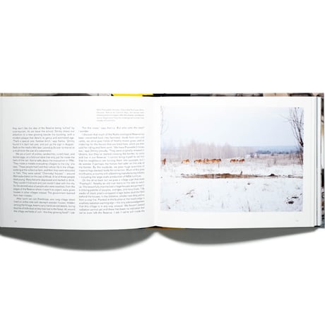 Chernobyl: A Stalkers' Guide