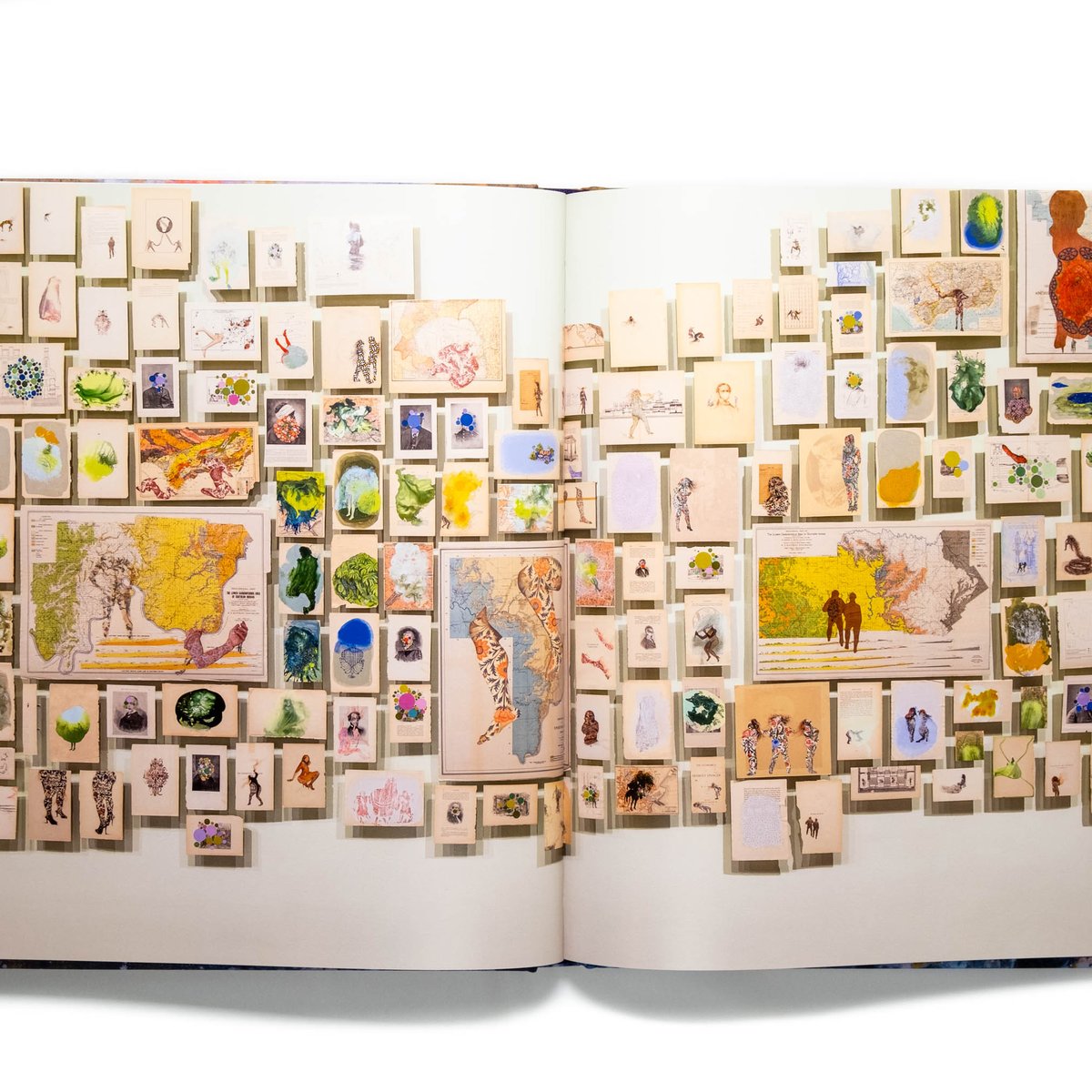 Firelei Báez | Art Book Iskusstvo