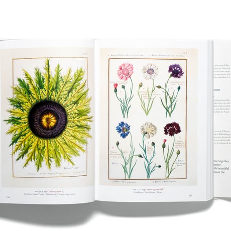 A Garden Eden. Masterpieces of Botanical Illustration. 40th Ed.