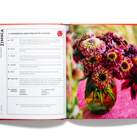 The Super Bloom Handbook