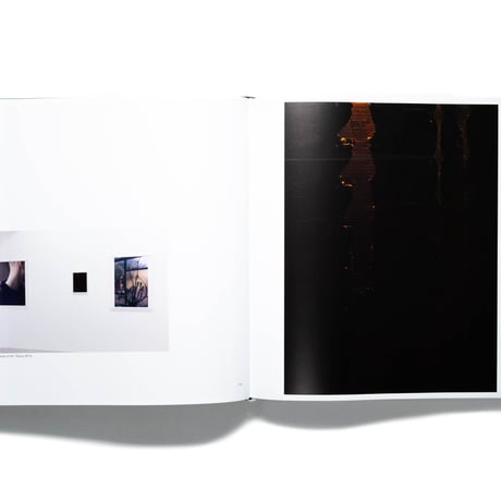 Wolfgang Tillmans. Saturated Light