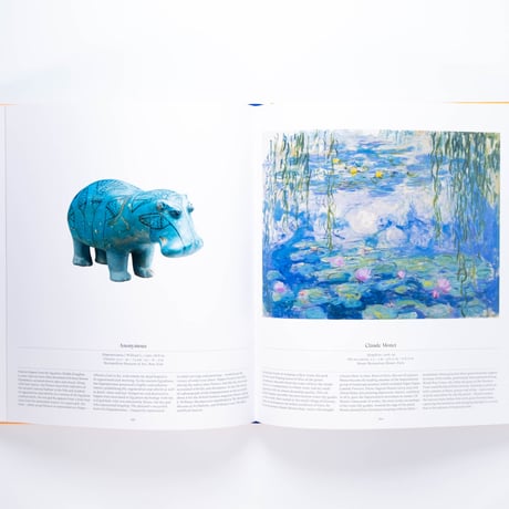 Flower: Exploring the World in Bloom