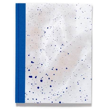 Julie van der Vaart: Blind Spot
