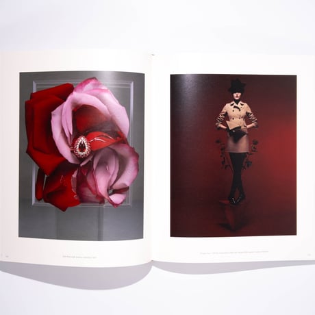 Niedermair, Dior. Drawing, photography