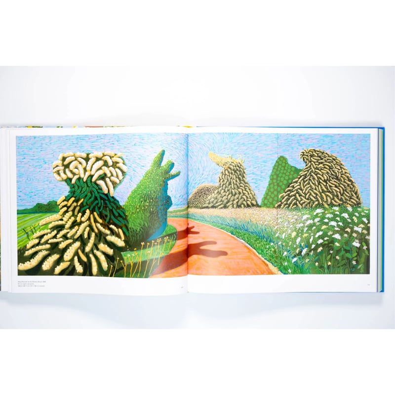 David Hockney | Art Book Iskusstvo