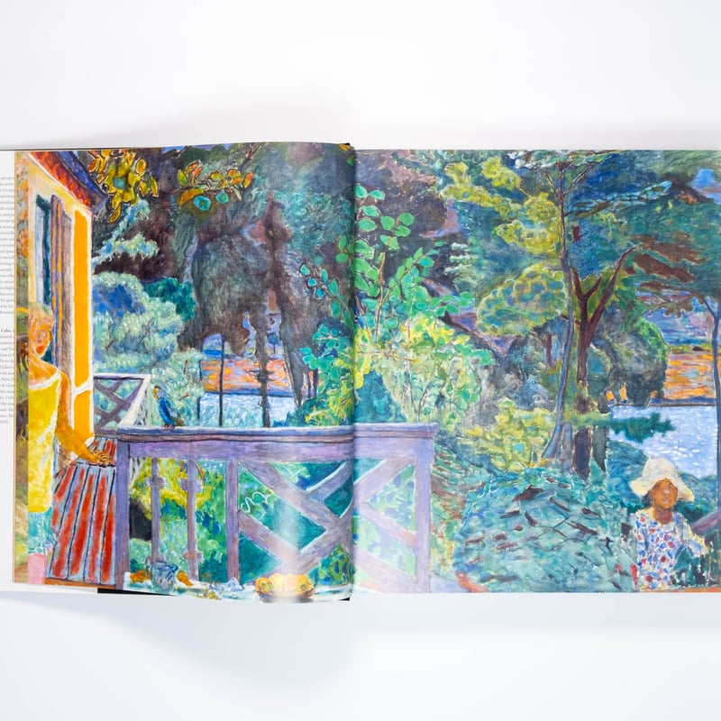 PIERRE BERNARD アート本 Bonnard | Art Book Iskusstvo