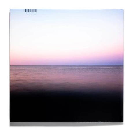 Lucinda Devlin: Lake Pictures