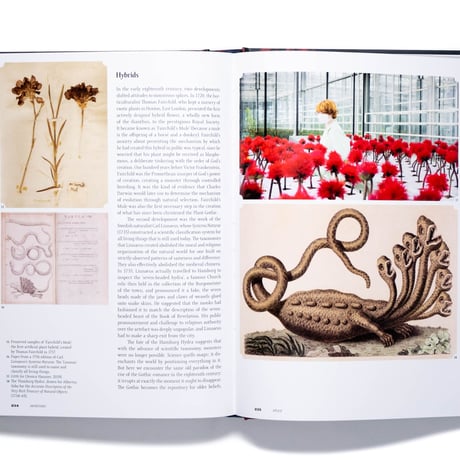 Gothic: An Illustrated History