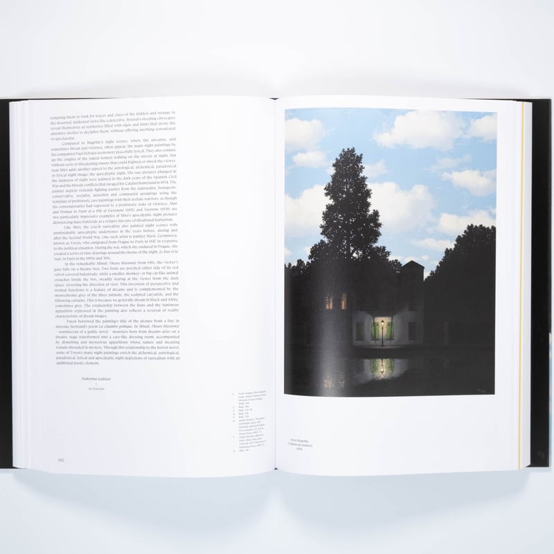 画集 シュールレアリズム SURREALISME DELVAUX 画集 シュール