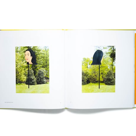 Alex Katz: Quick Light