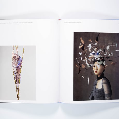 Aviary: The Bird in Contemporary Photography
