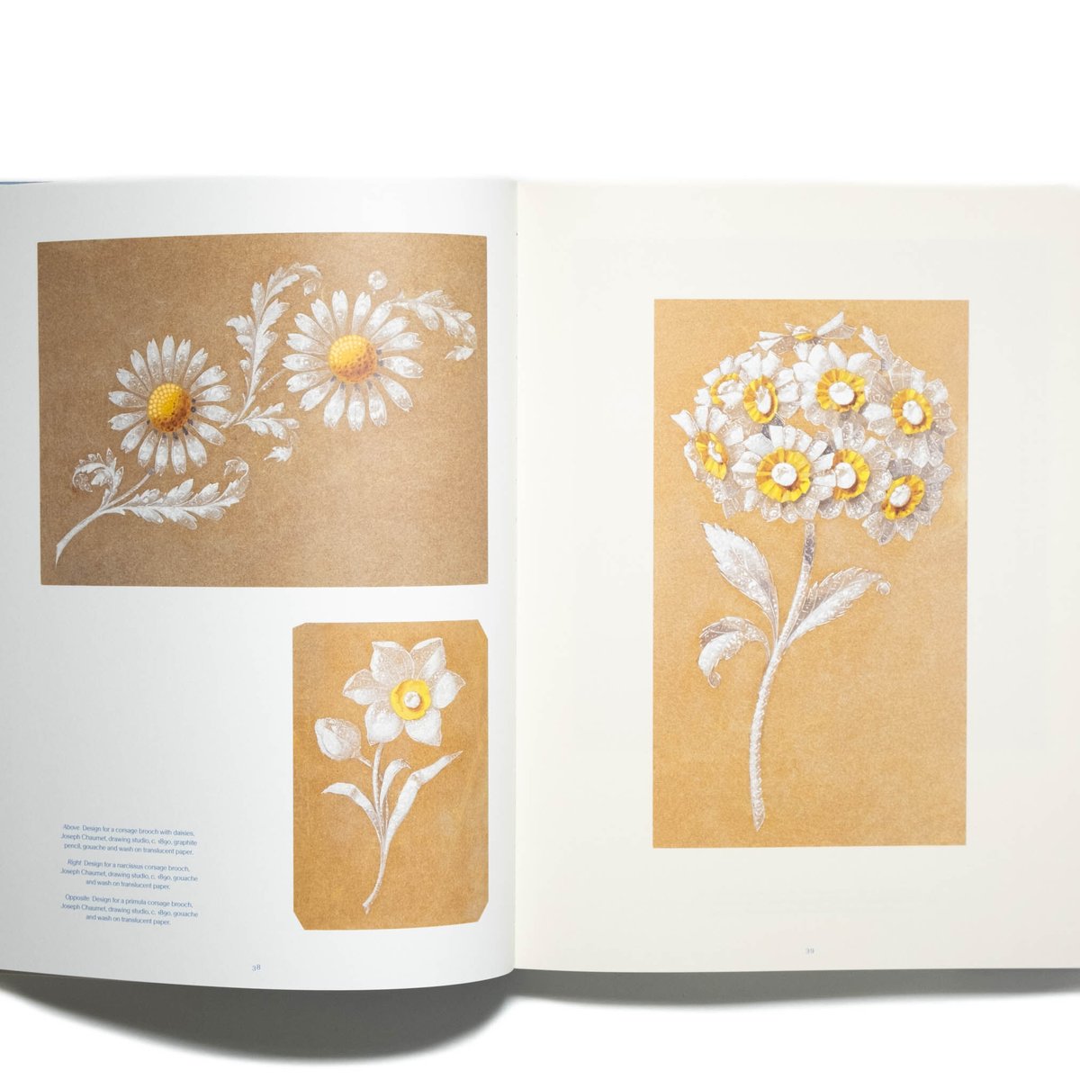 Chaumet Drawing from Nature | Art Book Iskusstvo
