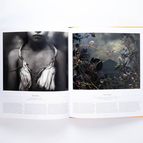 Flower: Exploring the World in Bloom
