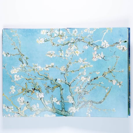 Van Gogh: The Essential Paintings