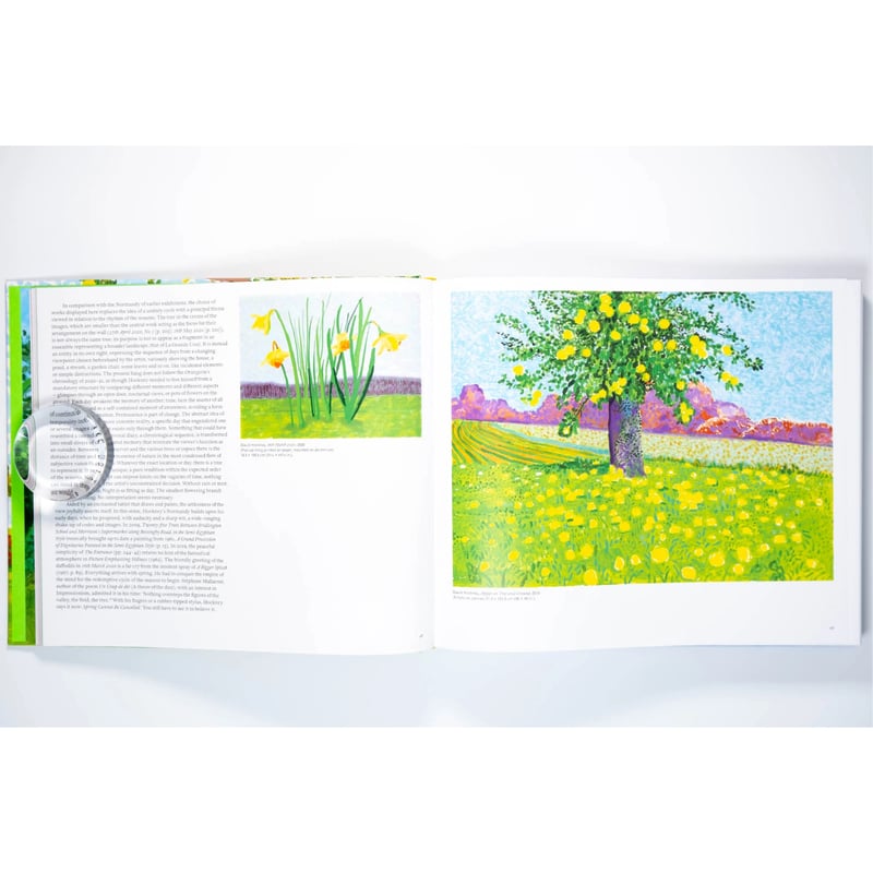 David Hockney 作品集 デイヴィッド・ホックニー作品集｜青幻舎 SEIGENSHA Art Publishing, Inc.