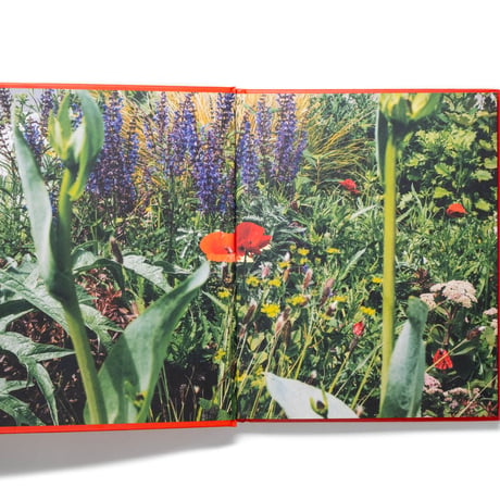 The Super Bloom Handbook