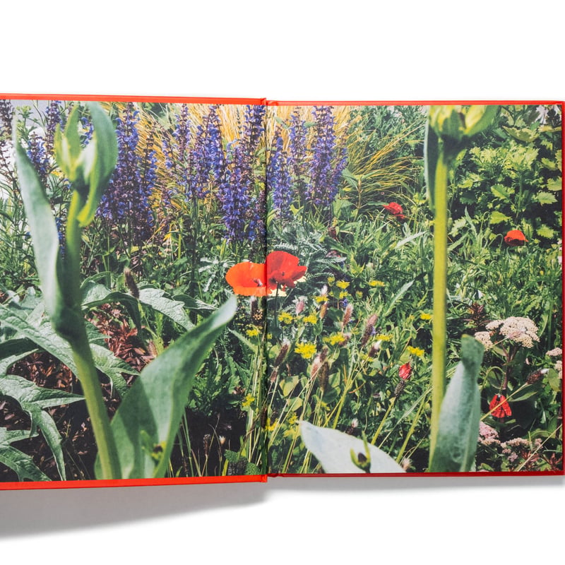 The Super Bloom Handbook | Art Book Iskusstvo