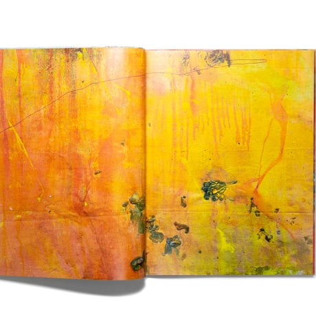 Frank Bowling: Penumbral Light