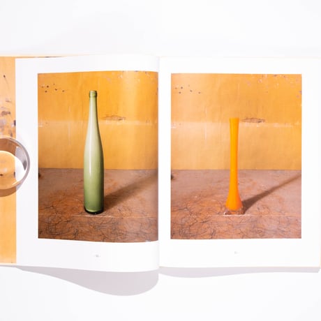 Joel Meyerowitz: Morandi's Objects