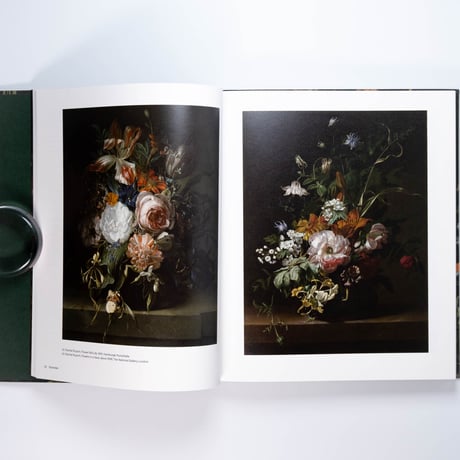 Rachel Ruysch: Nature into Art