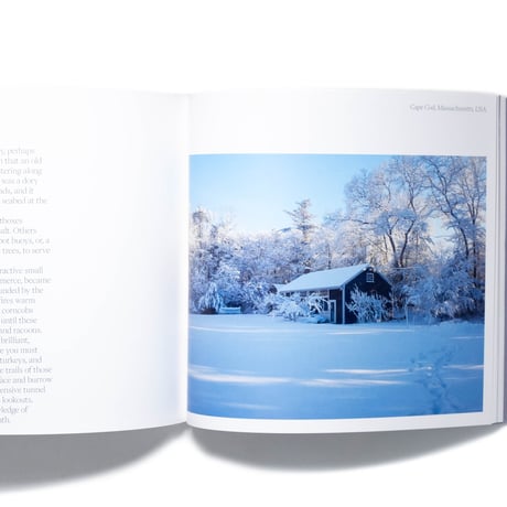 Sean Palfrey: Home