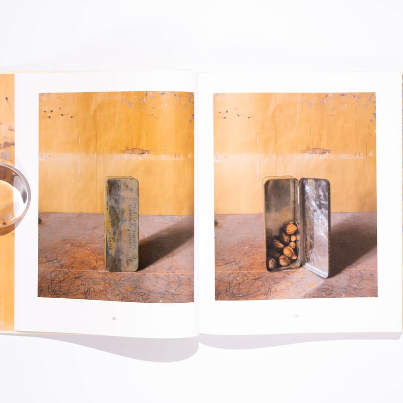 Joel Meyerowitz: Morandi's Objects | Art Book I