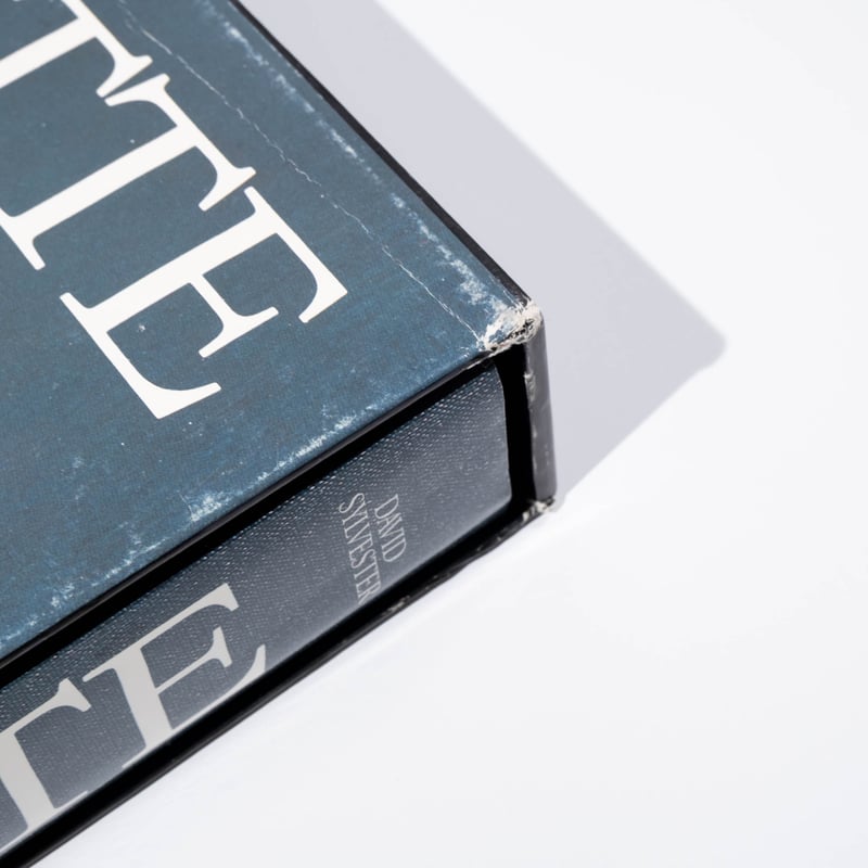 Magritte David Sylvester | Art Book Iskusstvo