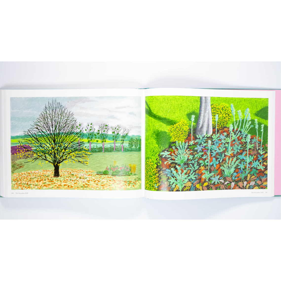 fit=scale-down,w=1200